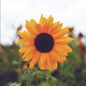 Meet your Posher, Jill